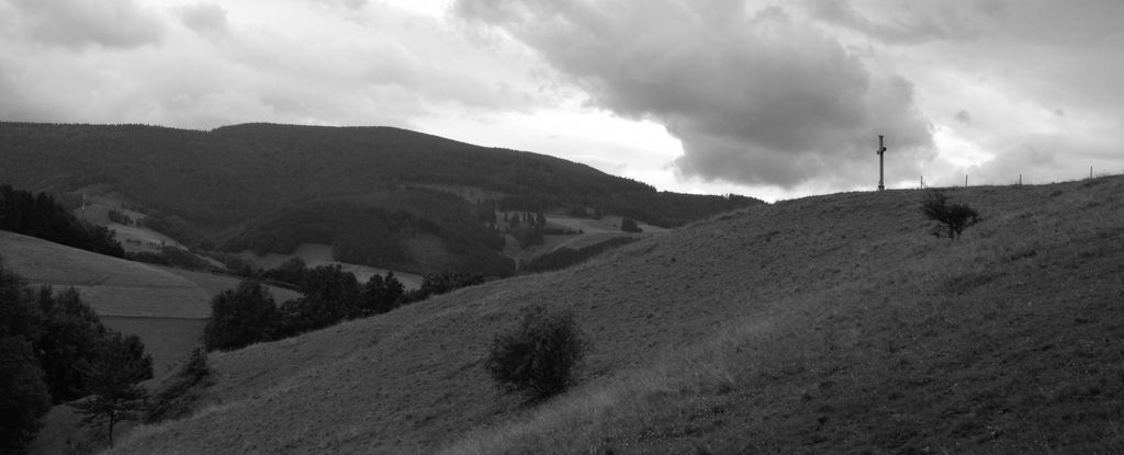 080719SFLUM_Radek_039.jpg
