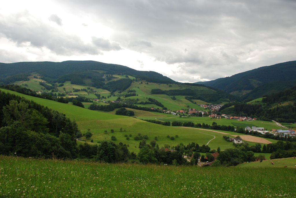 080719SFLUM_Radek_042.JPG