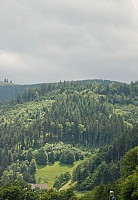 080719SFLUM_Radek_004.JPG