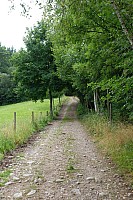 080719SFLUM_Radek_009.JPG