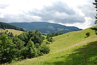 080719SFLUM_Radek_032.JPG