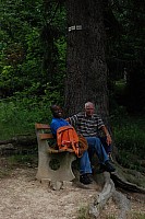 080719SFLUM_Radek_035.JPG