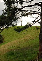 080719SFLUM_Radek_037.JPG
