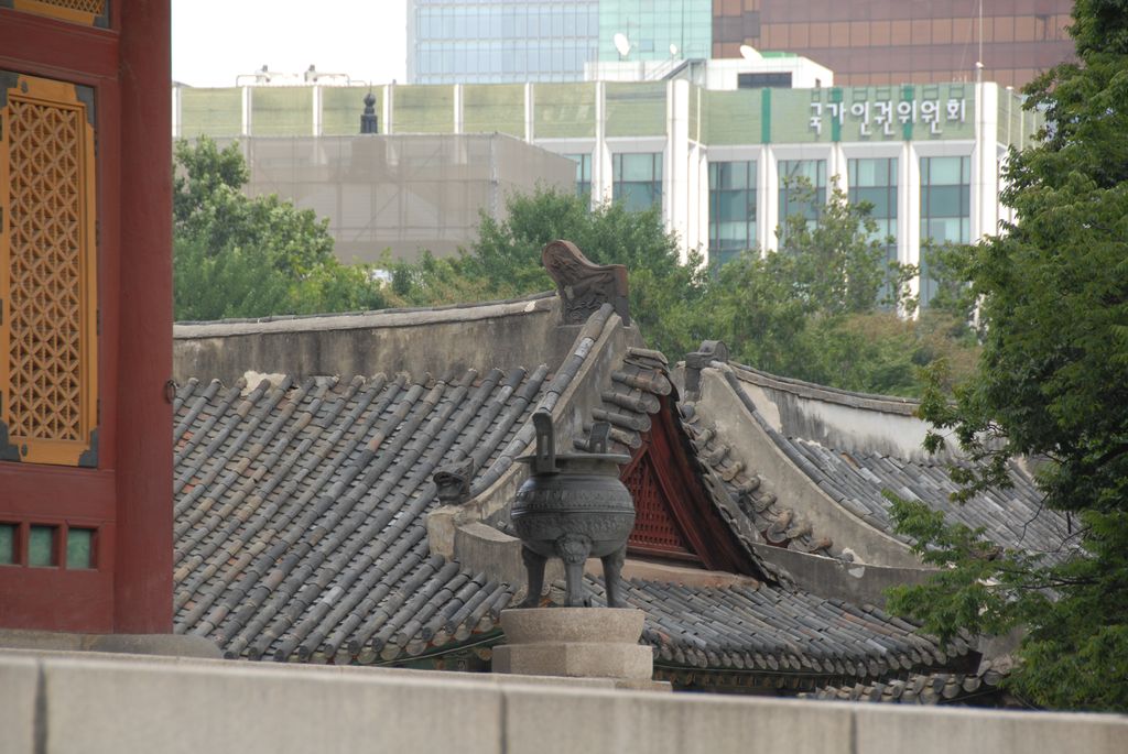 100822IUFRO_040.JPG