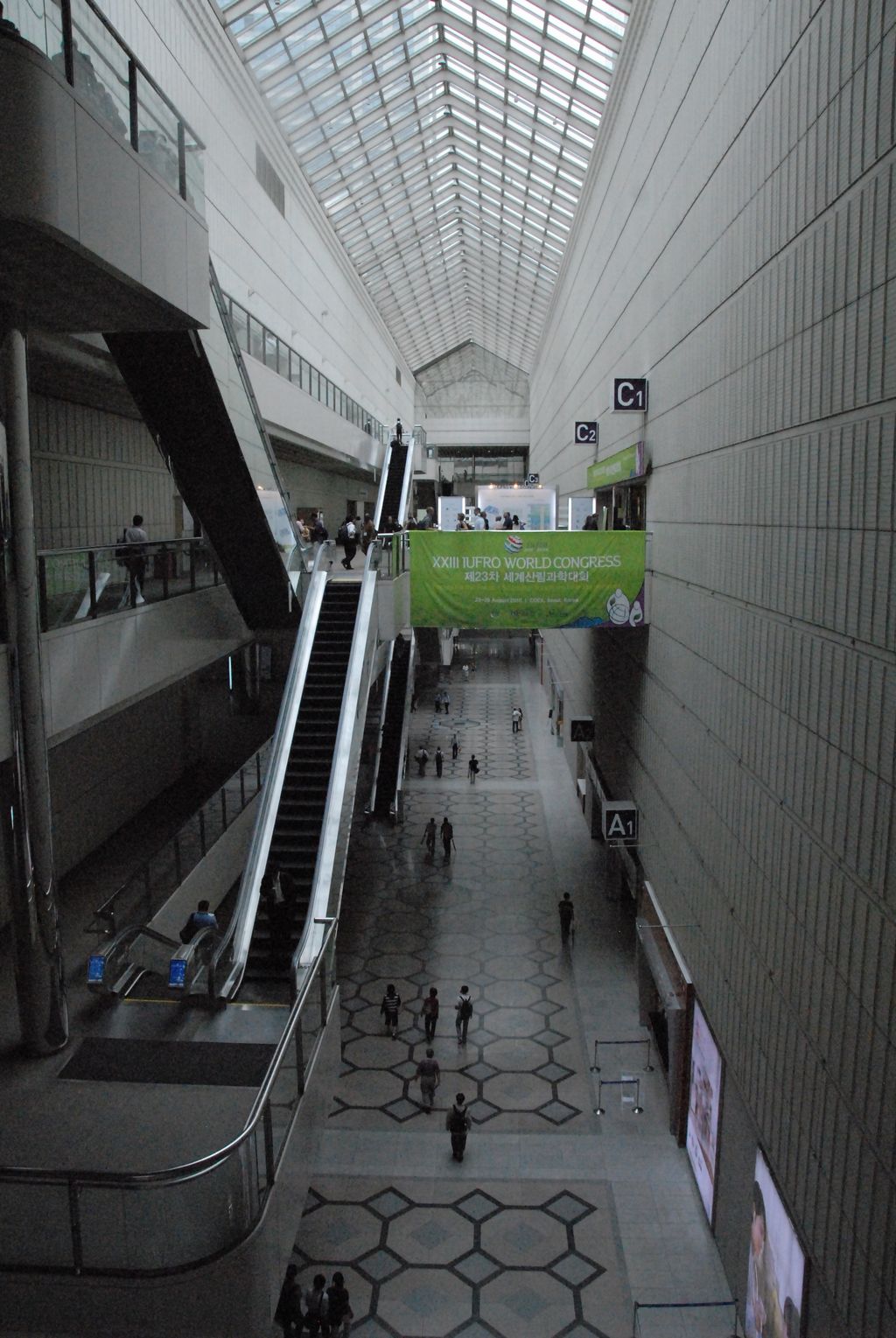 100825IUFRO_052.JPG
