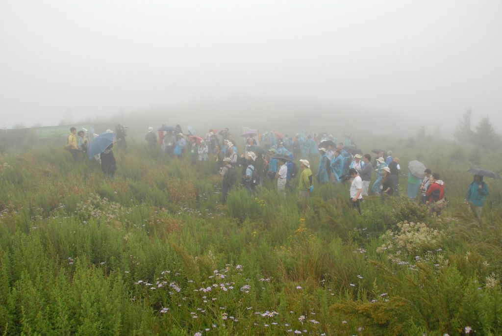 100826IUFRO_052.JPG