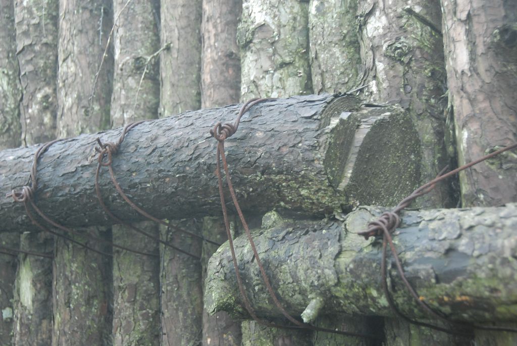 100826IUFRO_073.JPG