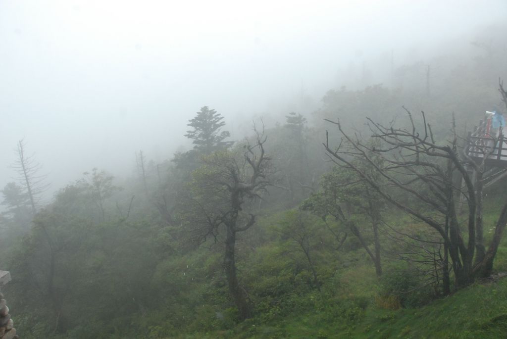 100826IUFRO_110.JPG