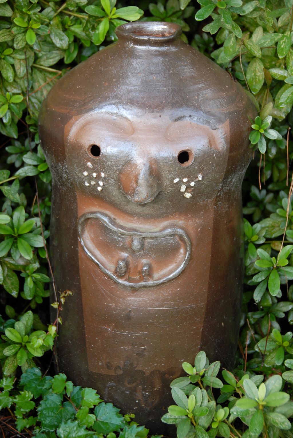 100826IUFRO_145.JPG