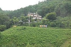 100826IUFRO_018.JPG