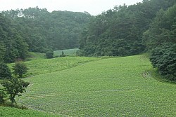 100826IUFRO_031.JPG