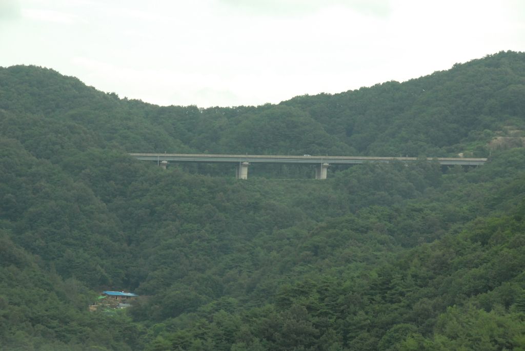 100829IUFRO_031.JPG