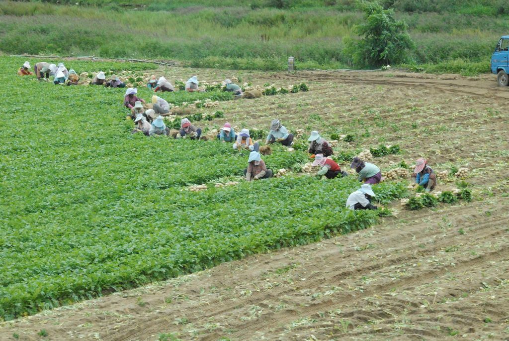 100829IUFRO_047.JPG