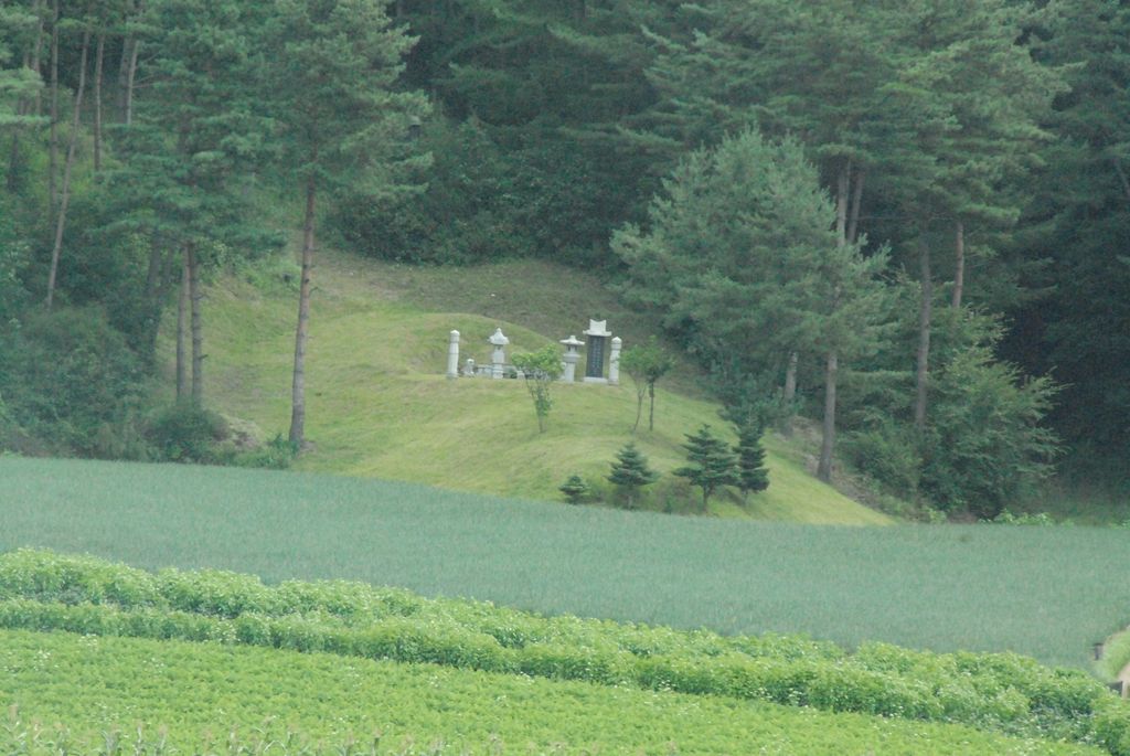 100829IUFRO_049.JPG