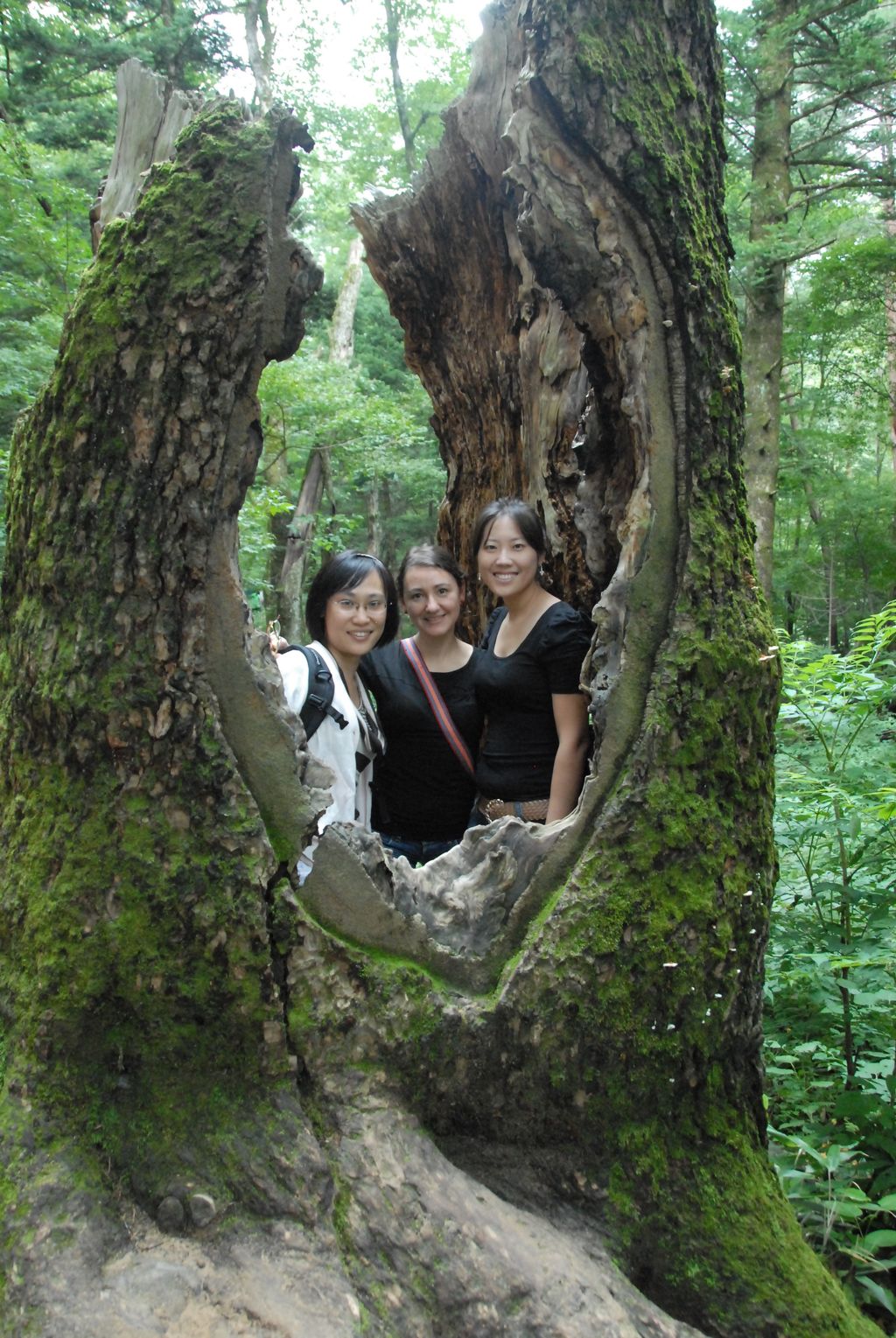 100829IUFRO_076.JPG