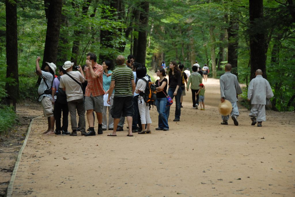 100829IUFRO_084.JPG
