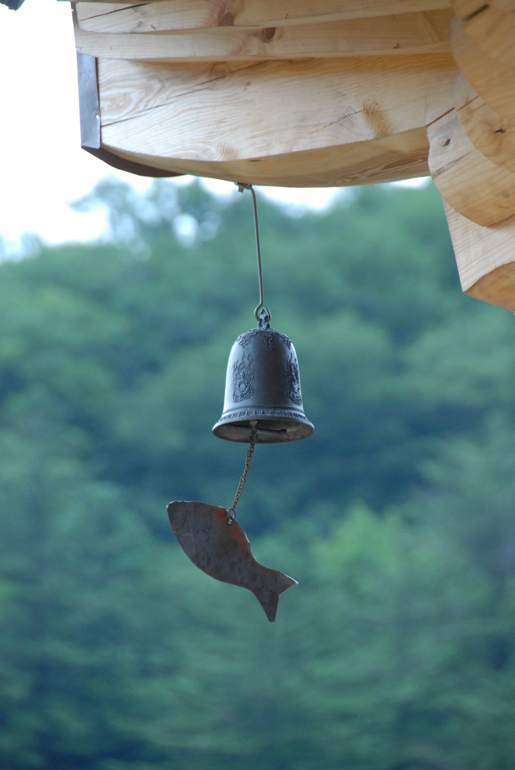 100829IUFRO_166.JPG
