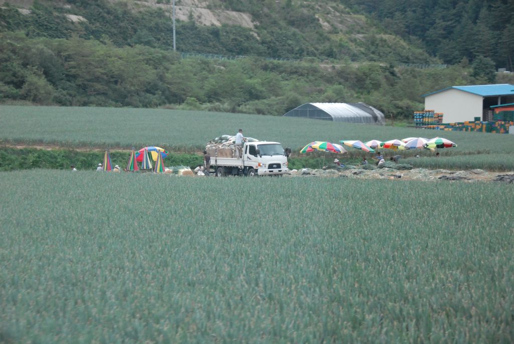 100829IUFRO_212.JPG