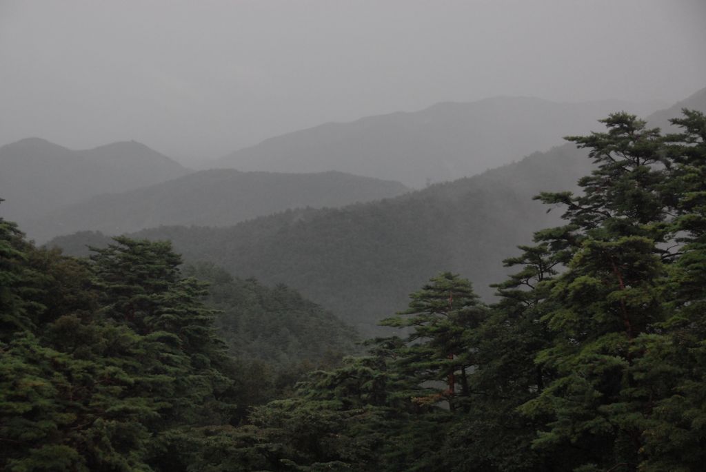 100829IUFRO_261.JPG
