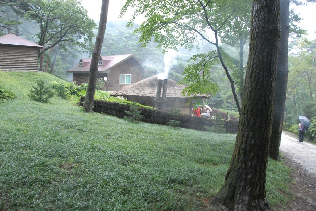 100829IUFRO_270.JPG