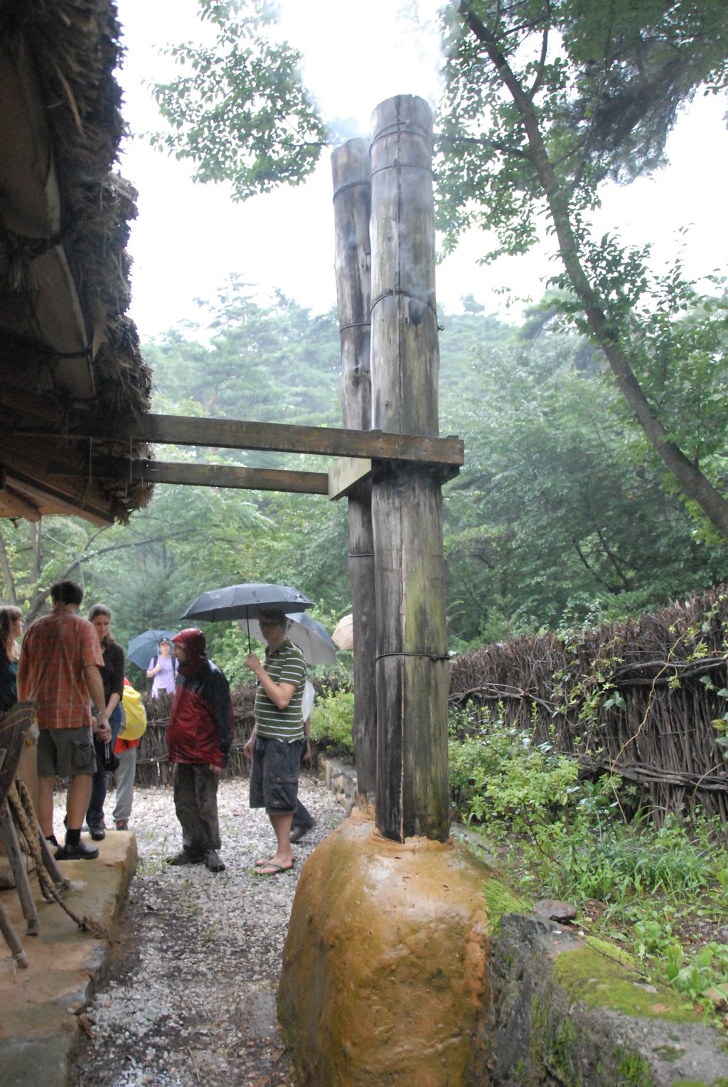 100829IUFRO_274.JPG