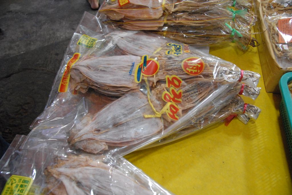 100829IUFRO_335.JPG