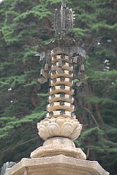100829IUFRO_094.JPG