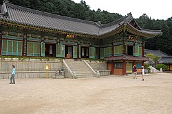 100829IUFRO_148.JPG