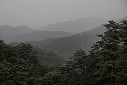 100829IUFRO_261.JPG