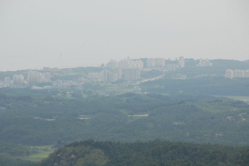 100830IUFRO_095.JPG