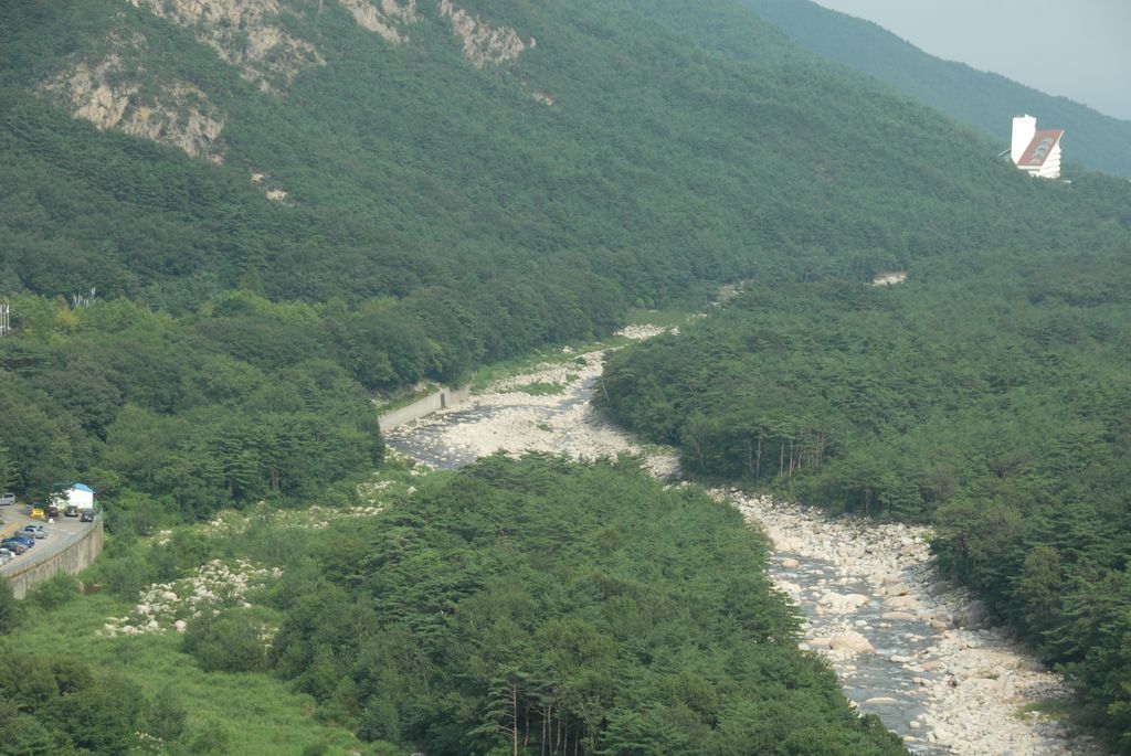 100830IUFRO_152.JPG
