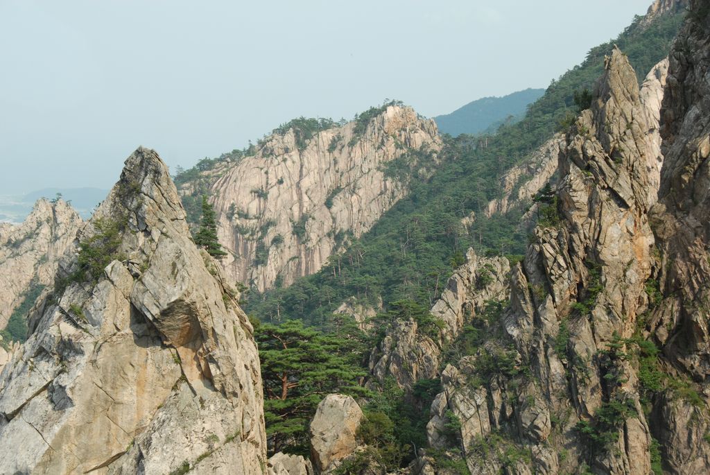100830IUFRO_165.JPG