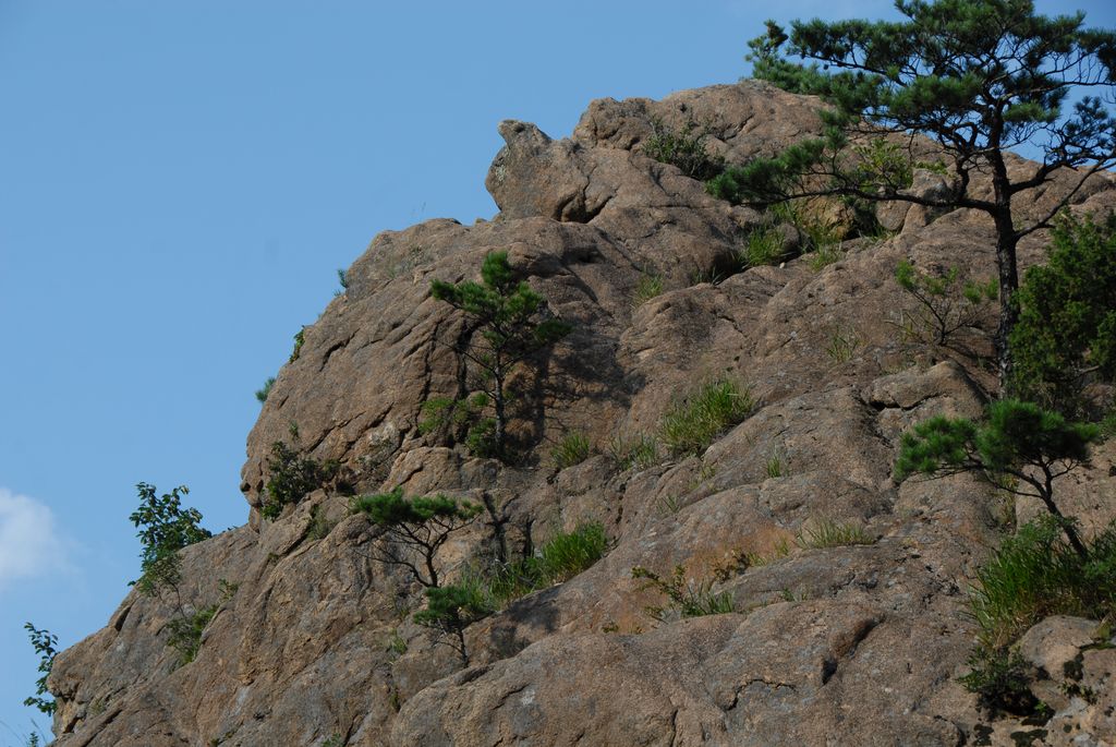 100830IUFRO_260.JPG