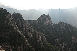 100830IUFRO_211.JPG
