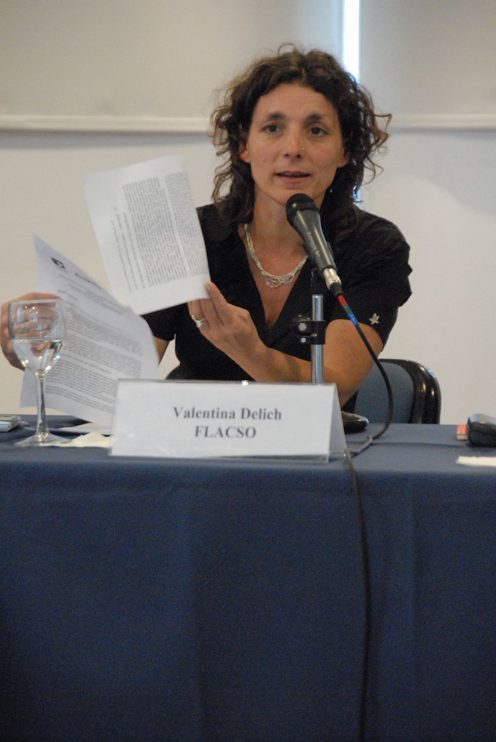 100922ArgFLACSO_224.JPG