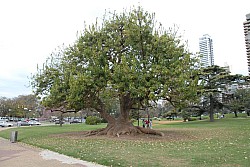 100924ArgFLACSO_321.JPG
